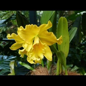 Meet your Posher, Luby